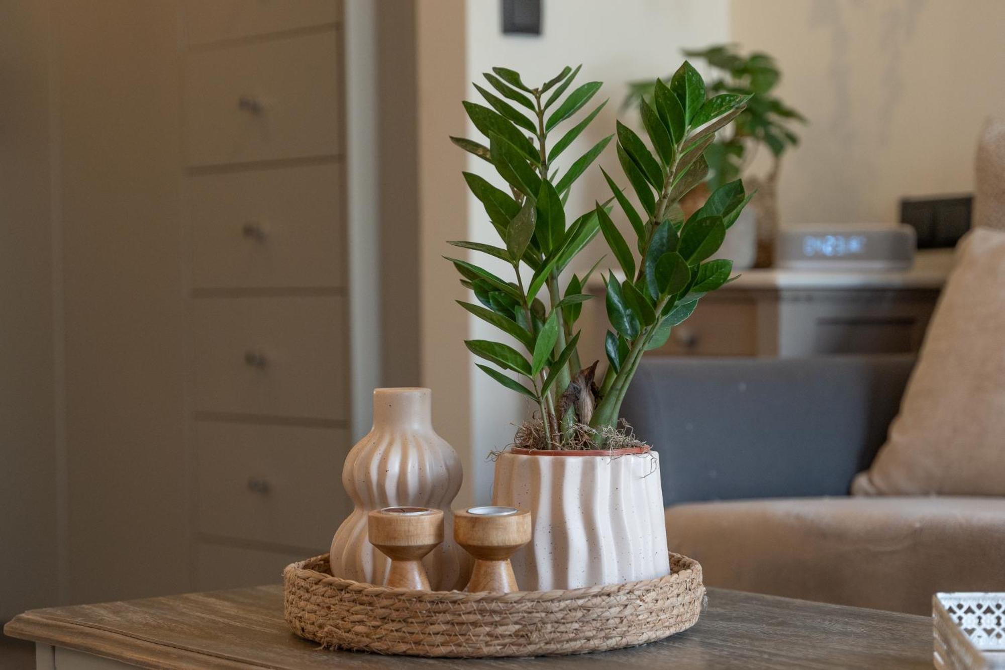 Ixia Home Esterno foto